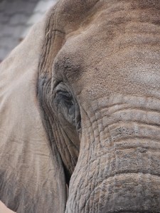 Wie ein Erdrutsch ...