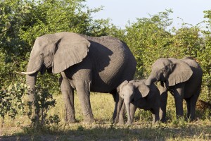 Sie reden miteinander